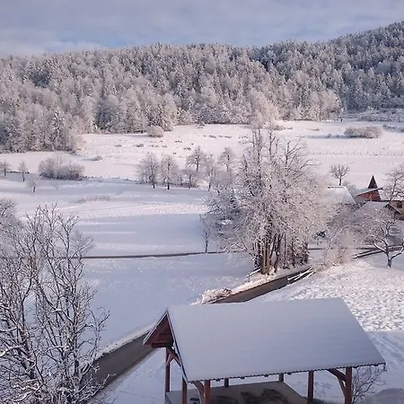 Guest house Vrtacnik