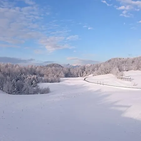 Vrtacnik