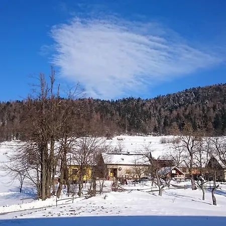 Guest house Vrtacnik 2*