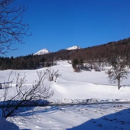 Vrtacnik