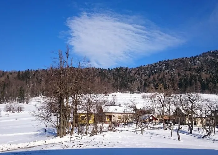 Gasthuis Vrtacnik 2*