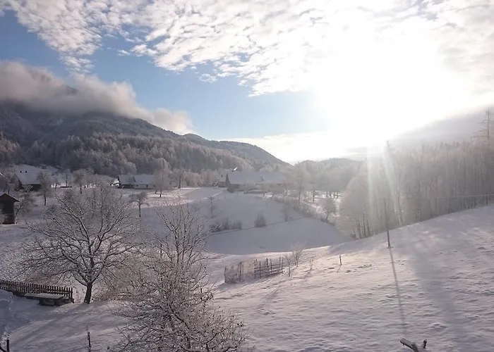 Pensjonat Vrtacnik Stefanja Gora